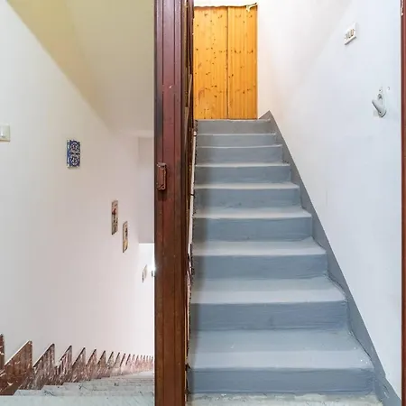 Wolf House Apartment *