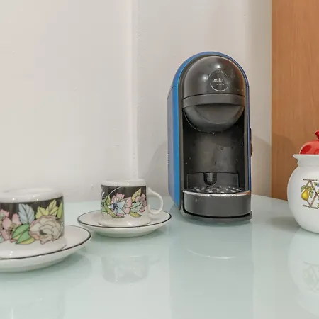 Apartment Wolf House